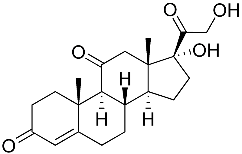 cortison.png