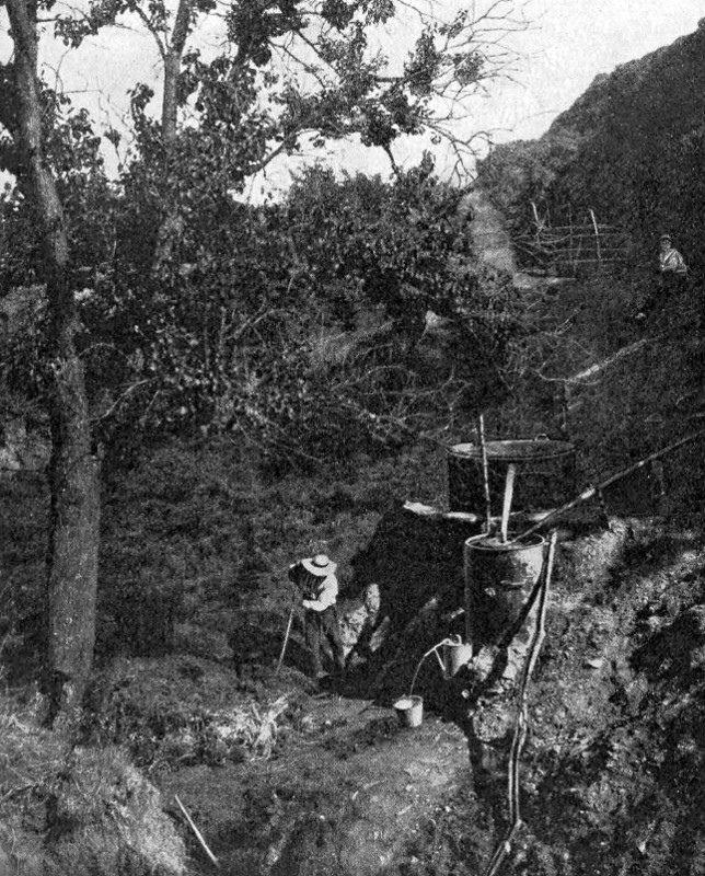 Destillation von äth. Ölen in Spanien