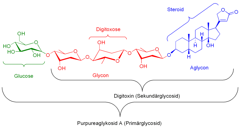 digitoxin.png