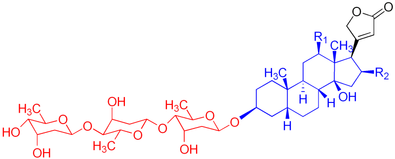 herzglycoside.png