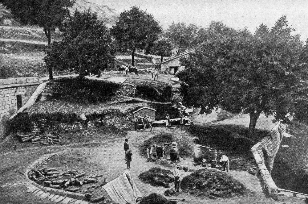 Destillation von Lavendelöl bei Escragonelles (Département des Alpes...