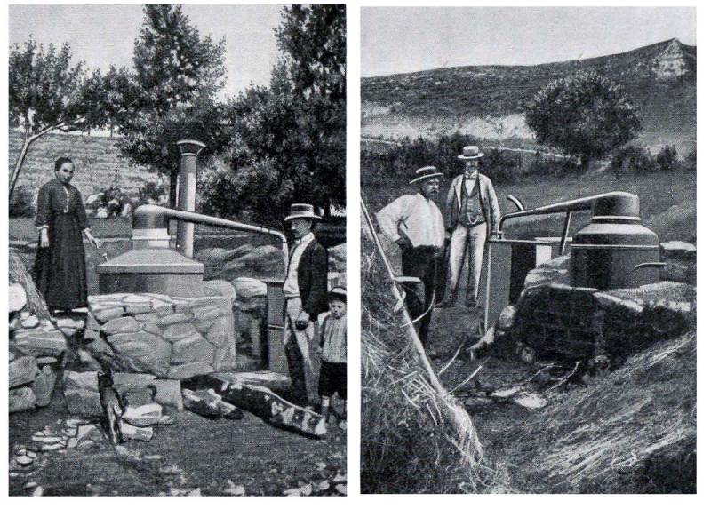 Lavendeldestillation aus der Gegend von Séderon (Basses-Alpes)