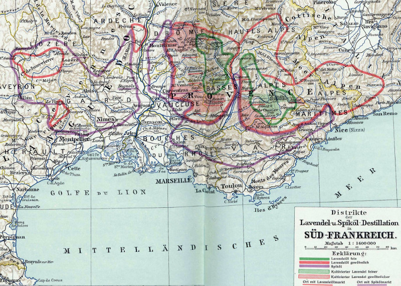 Lavendelanbaugebiete in Frankreich
