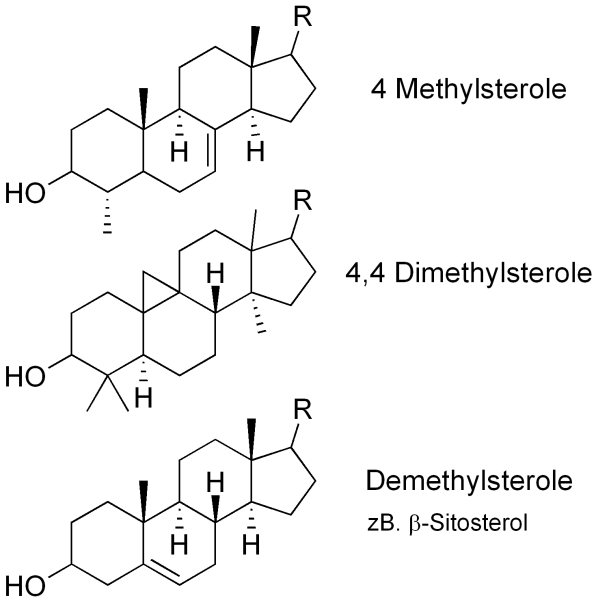 phytosterole.png