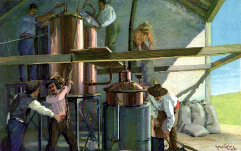 Rosmarindestillation in Lesina