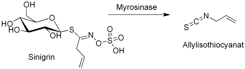 sinigrin.png